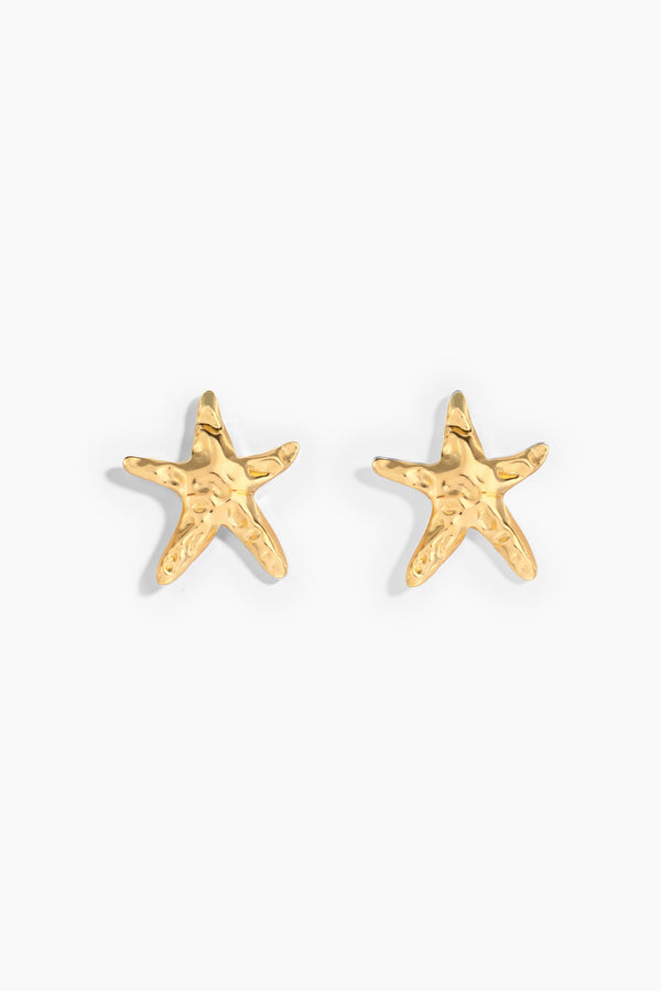 Shoreline Studs
