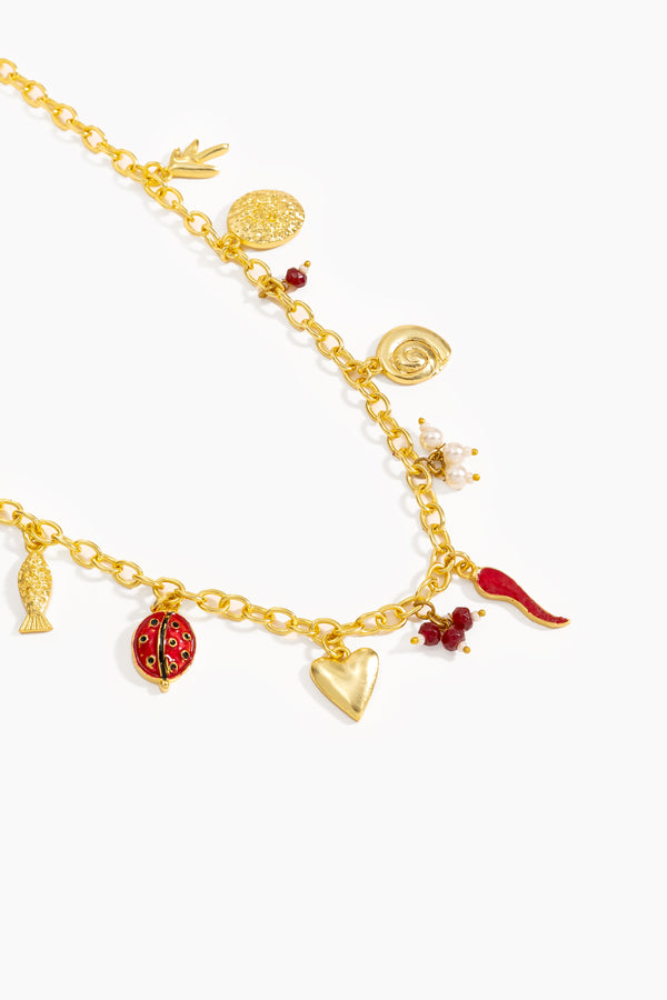 Charm Story